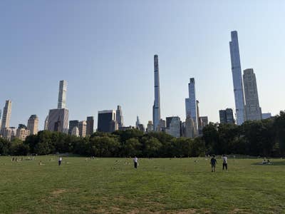 Room wanted in New York Main Photo