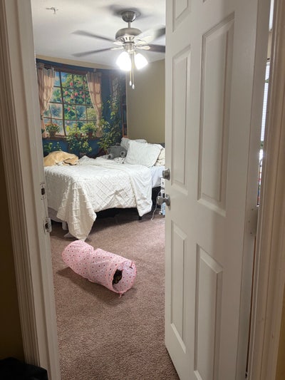 UCF off campus housing  Main Photo