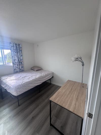 Fully Furnished Private Bedroom + laundry +parking Main Photo