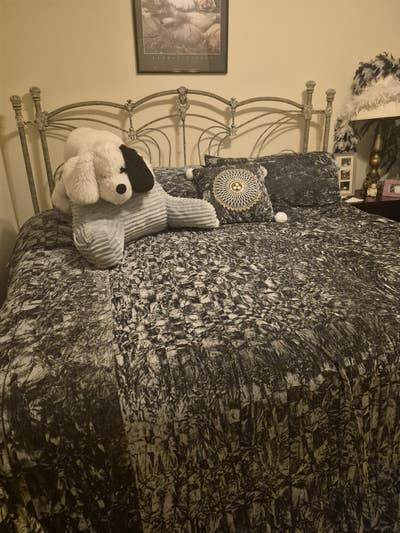 Furnished kind bedroom for Sub Lease Main Photo