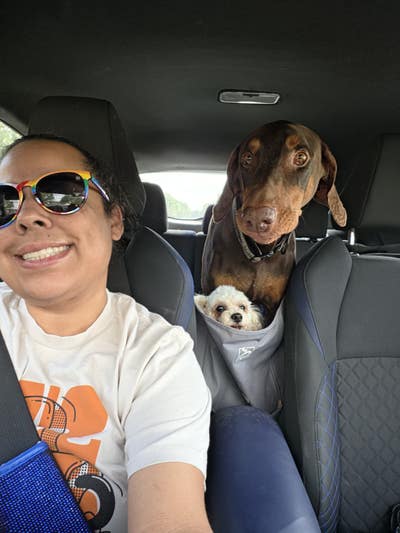 Must Love Dogs! But not have one. 🫤 Main Photo