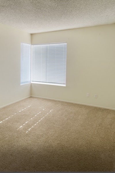 Room for Rent in 3 Bedroom Apartment Main Photo