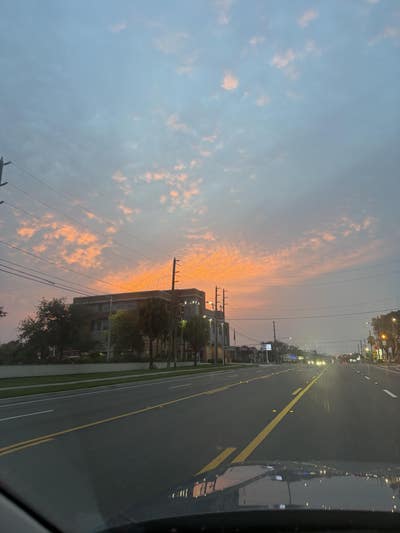 Room wanted in St. Petersburg, FL Main Photo