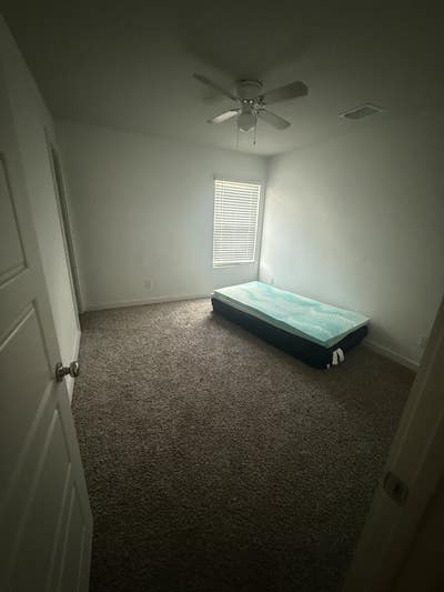 Roommate needed Main Photo