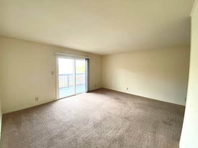 Large Private Room, Sept Free, West Meade/Bellevue Main Photo
