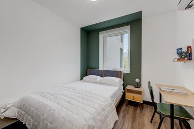 Beautiful Private ROOM in Williamsburg Main Photo
