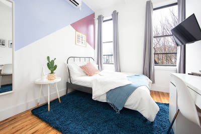 Charming Private ROOM in Fort Greene Main Photo