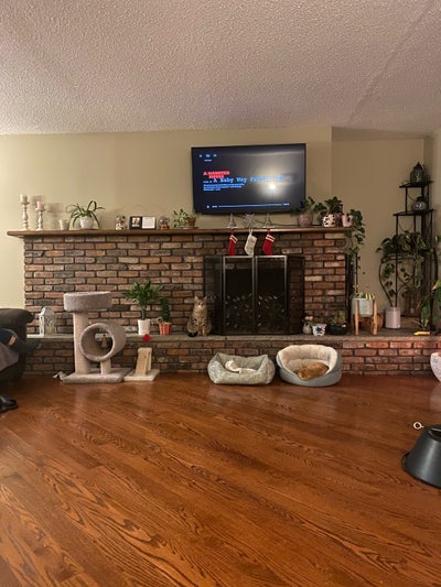 Looking for Roommate to Share Townhouse  Main Photo