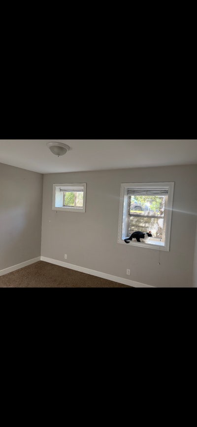 Quiet Bedroom + bathroom for rent Capitol Hill  Main Photo