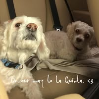 Room wanted in Santa Ana, CA Main Photo