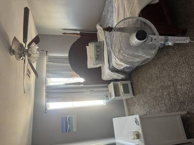This is a 1 bedroom shared large bathroom 750 all  Main Photo