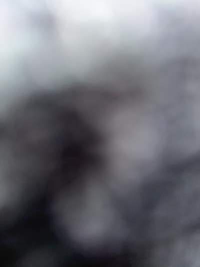 Room wanted in Phoenix, AZ Main Photo
