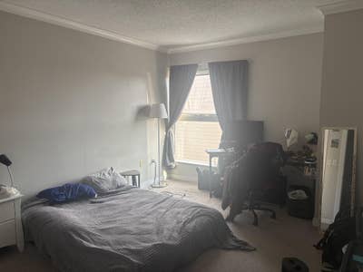 Looking for roommate ASAP! Main Photo