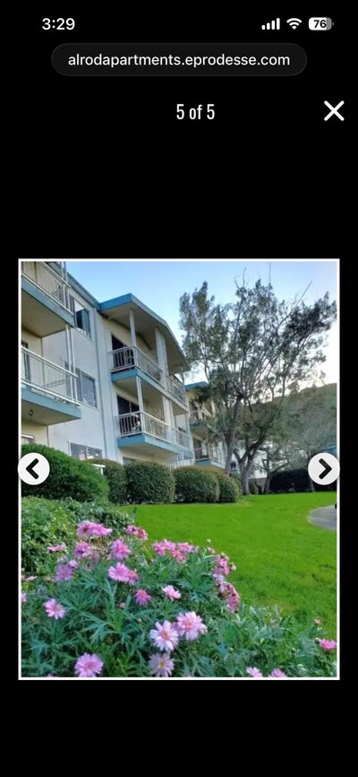 Room for rent in the San Carlos Hills  Main Photo