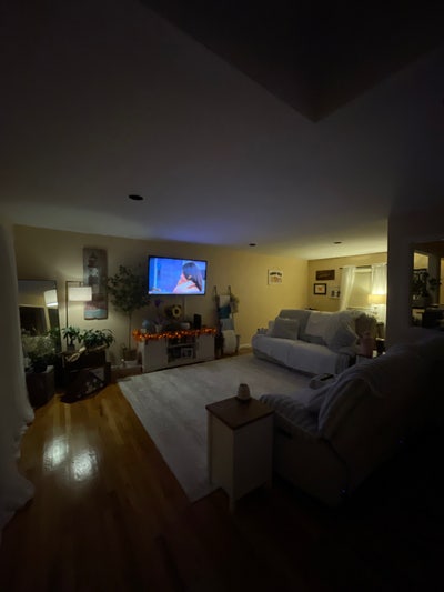 Female roommate wanted - Islip area  Main Photo