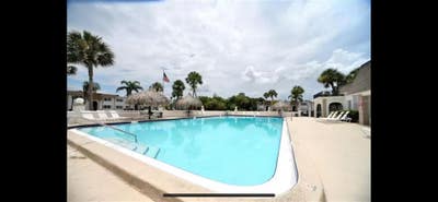 Clearwater Condo with large pool! Main Photo