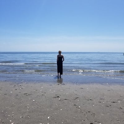 Room wanted in New York Main Photo