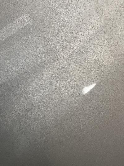 Room wanted in Kendall, FL Main Photo