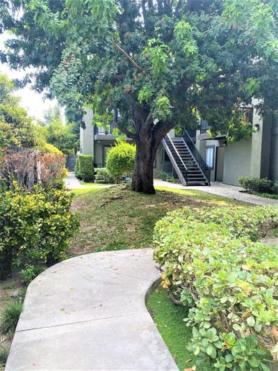 1 Bedroom 1 Bath in Anaheim $mo. Main Photo
