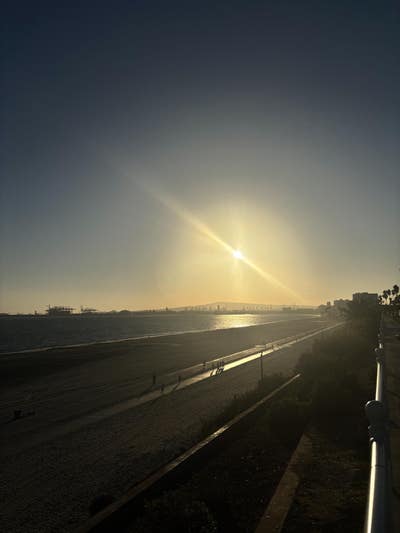 Room wanted in Long Beach, Los Angeles, CA Main Photo