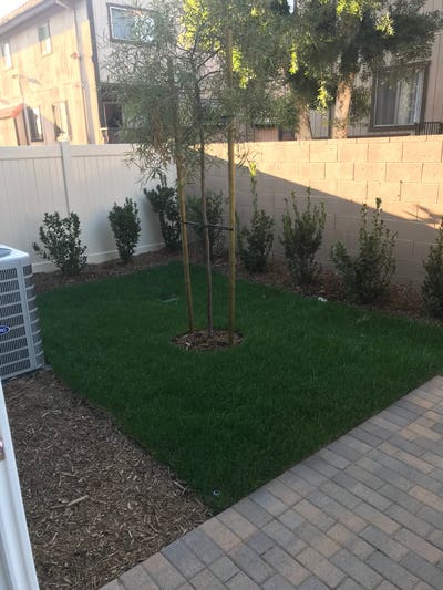 Room for rent $850 month to month $400 deposit Main Photo