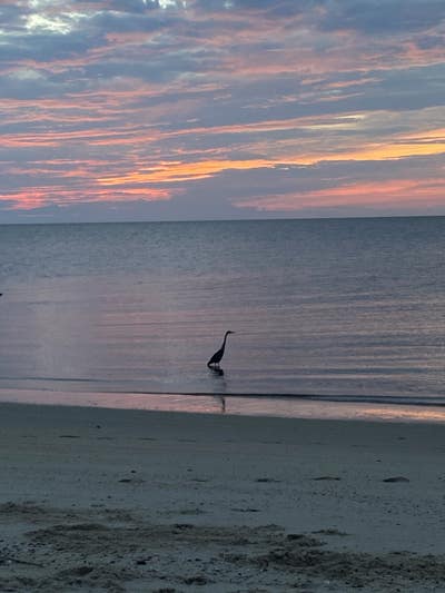 Room wanted in Cape May County, NJ Main Photo