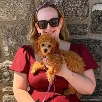 Room wanted in New York State Main Photo