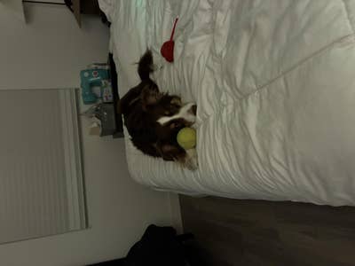 Room wanted in Leander, TX Main Photo