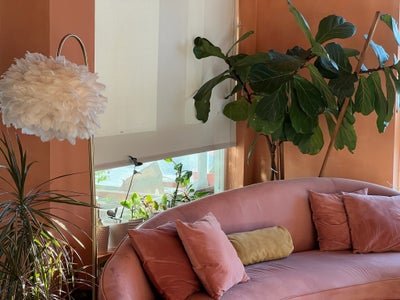 Luxury Apartment, Room for rent in 2B2B Main Photo