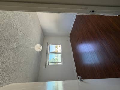 Roommie wanted for rent controlled apt! Main Photo