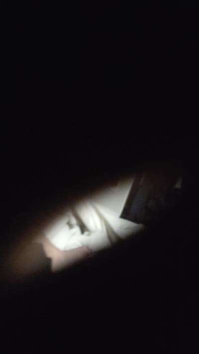 Room wanted in Salt Lake City, UT Main Photo