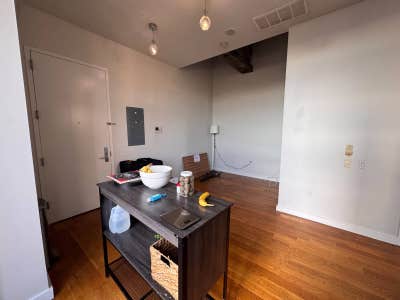 Greenpoint room in 2BR/1BA - patio + roof deck Main Photo