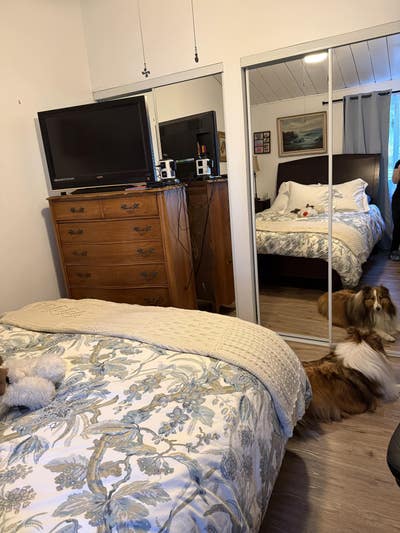 Fully furnished with cloud like bed to sleep on Main Photo