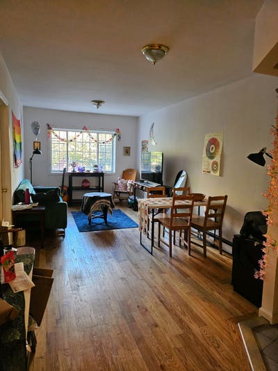 Bedstuy 3 bedroom (BIPOC and Queer home ✨️) Main Photo