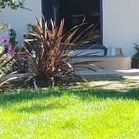 Room wanted in Long Beach, Los Angeles, CA Main Photo
